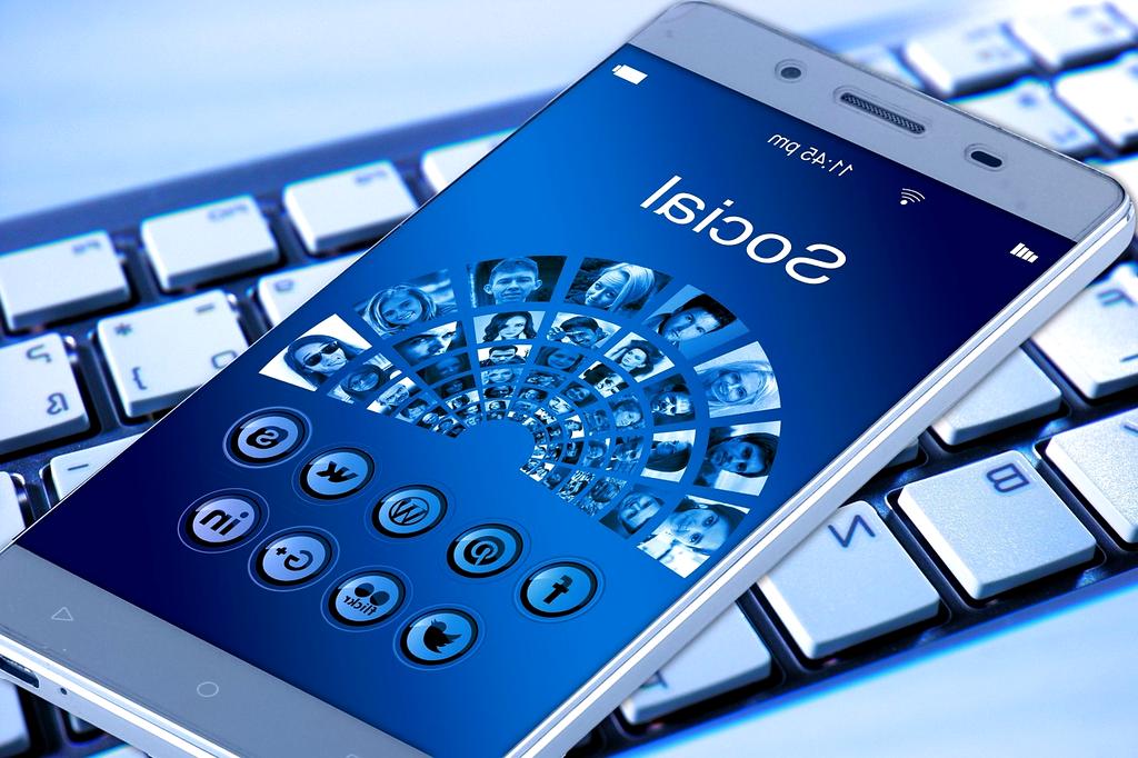 Expert network consultation and planning session